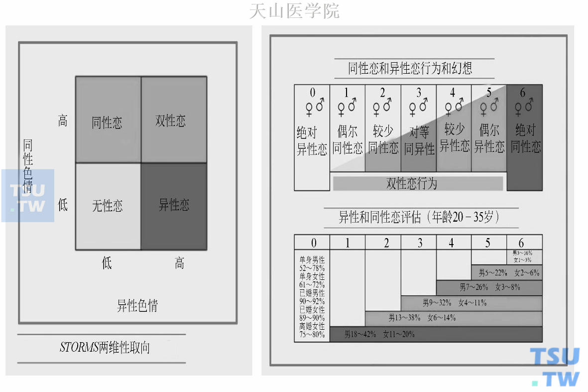 金赛的性取向连续谱