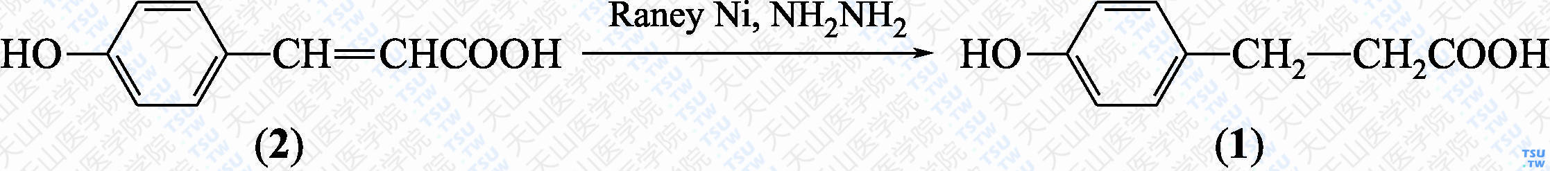 3-对羟基苯丙酸（分子式：C<sub>9</sub>H<sub>10</sub>O<sub>3</sub>）的合成方法路线及其结构式