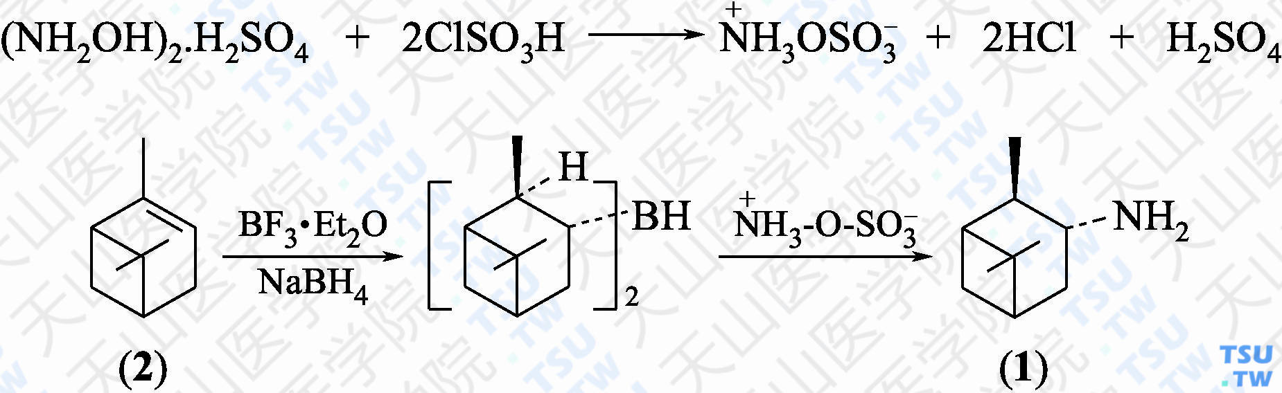 3-蒎烷胺（分子式：C<sub>10</sub>H<sub>21</sub>N）的合成方法路线及其结构式