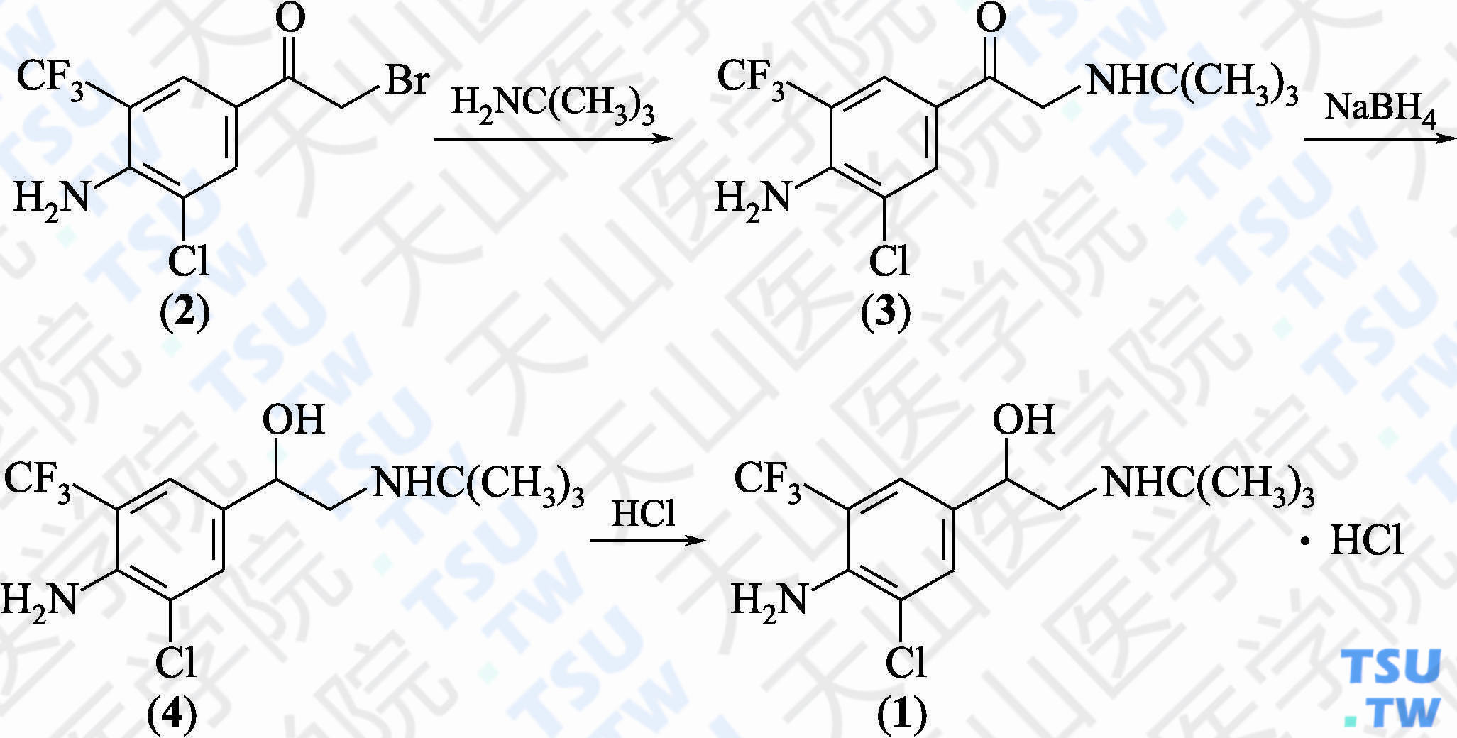 盐酸马布特罗（分子式：C<sub>13</sub>H<sub>18</sub>ClF<sub>3</sub>N<sub>2</sub>O·HCl）的合成方法路线及其结构式