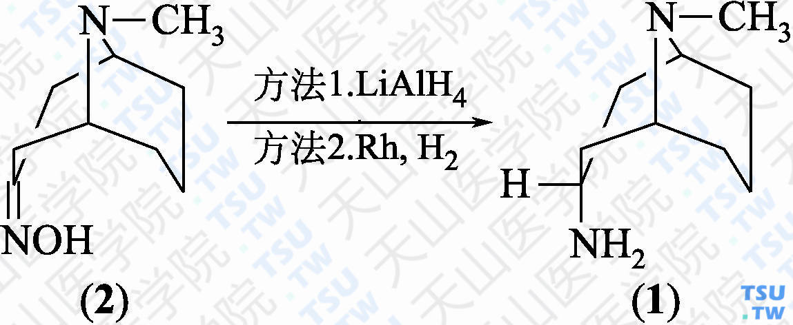 内型3-氨基-9-甲基-9-氮杂双环[3.3.1]壬烷（分子式：C<sub>9</sub>H<sub>18</sub>N<sub>2</sub>）的合成方法路线及其结构式