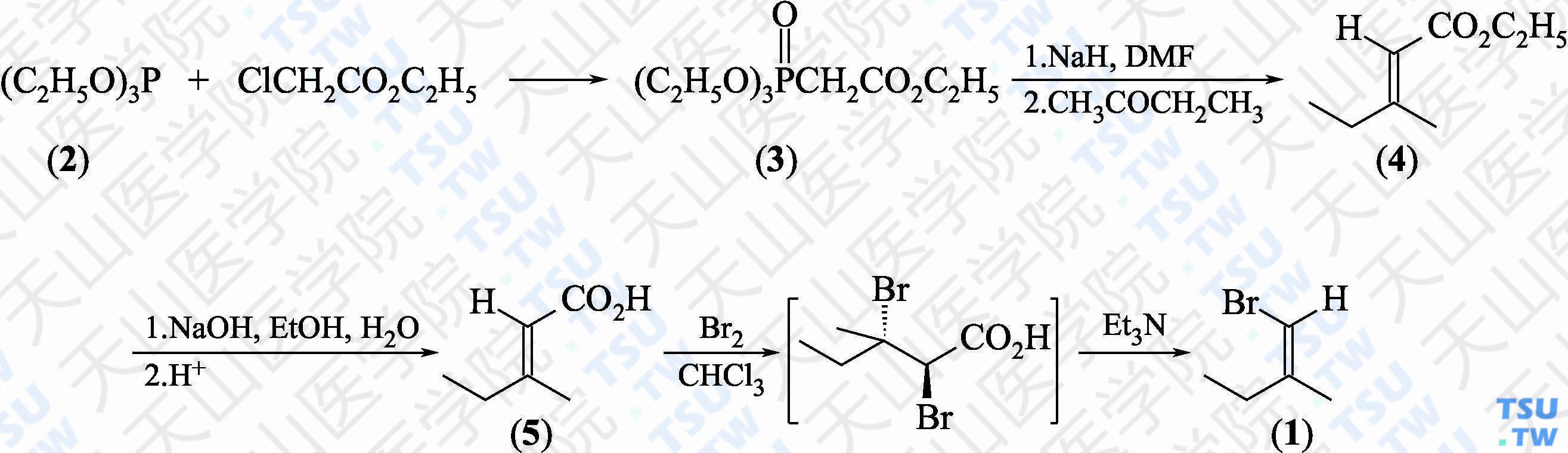 （<i>Z</i>）-1-溴-2-甲基-1-丁烯（分子式：C<sub>5</sub>H<sub>9</sub>Br）的合成方法路线及其结构式