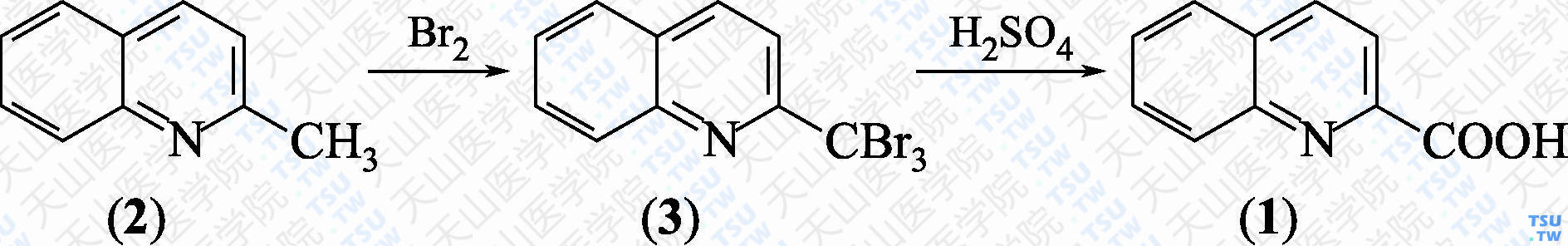 喹啉-2-甲酸（分子式：C<sub>10</sub>H<sub>7</sub>NO<sub>2</sub>）的合成方法路线及其结构式