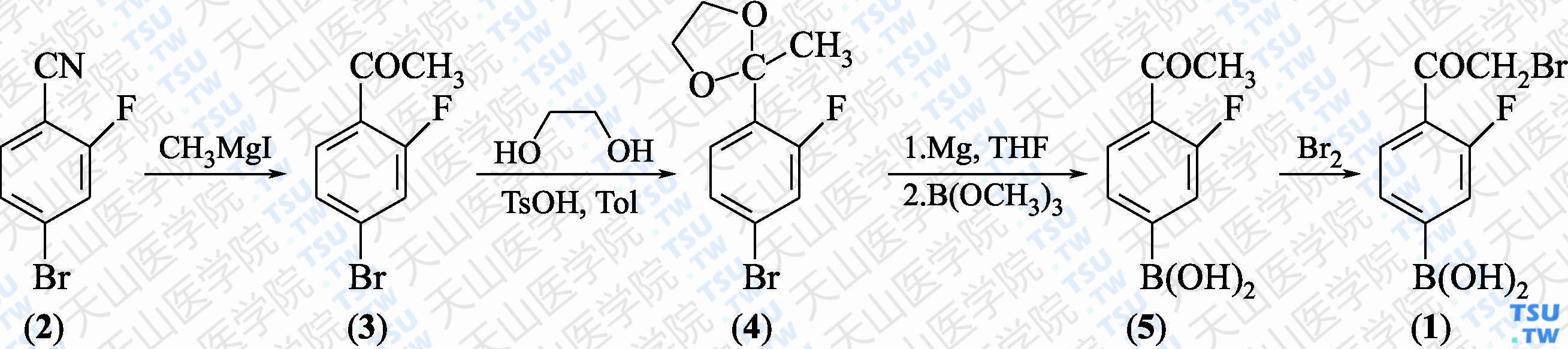 4-（2-溴乙酰基）-3-氟苯硼酸（分子式：C<sub>8</sub>H<sub>7</sub>BBrFO<sub>3</sub>）的合成方法路线及其结构式
