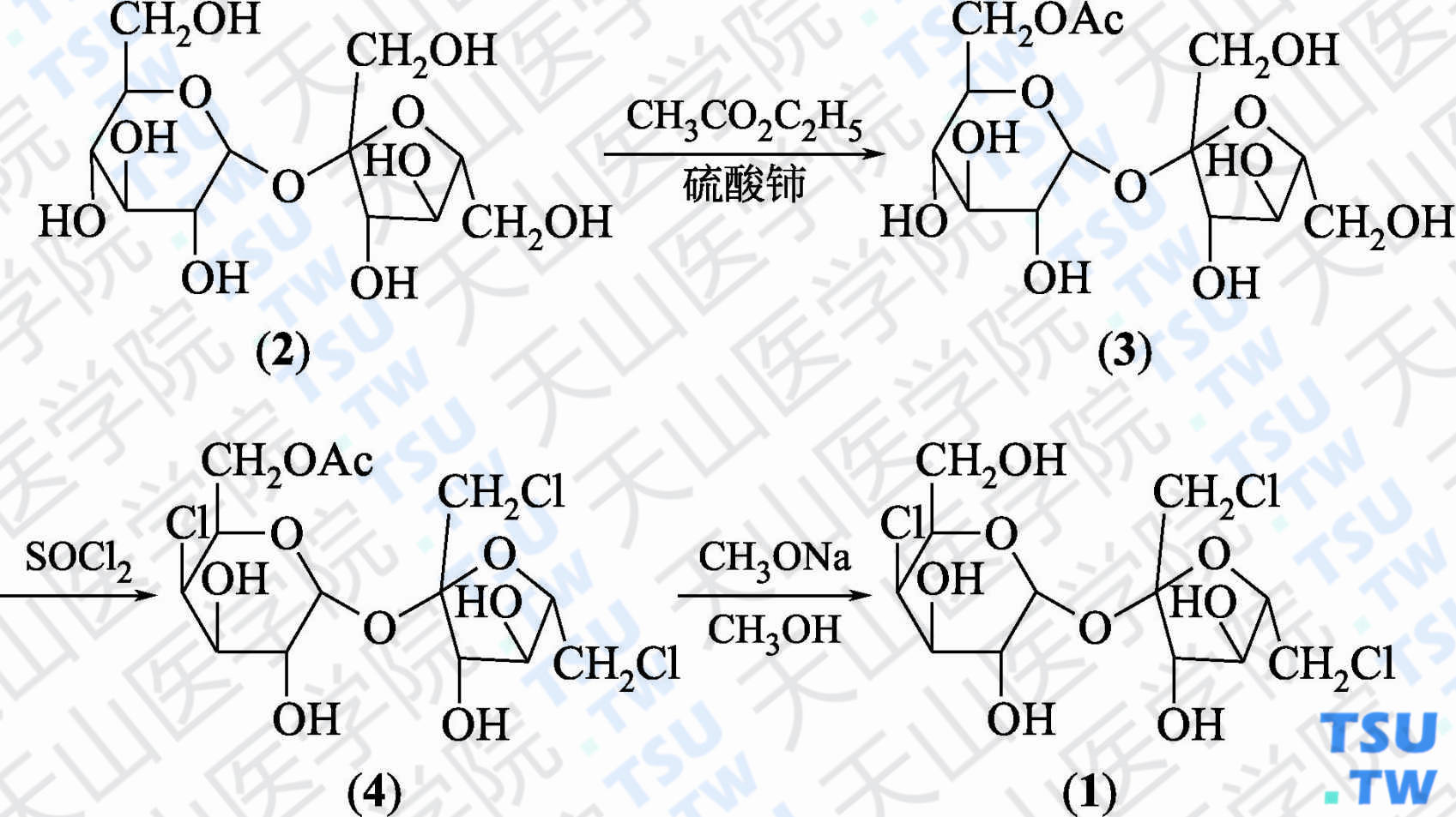 三氯蔗糖（分子式：C<sub>12</sub>H<sub>19</sub>Cl<sub>3</sub>O<sub>8</sub>）的合成方法路线及其结构式
