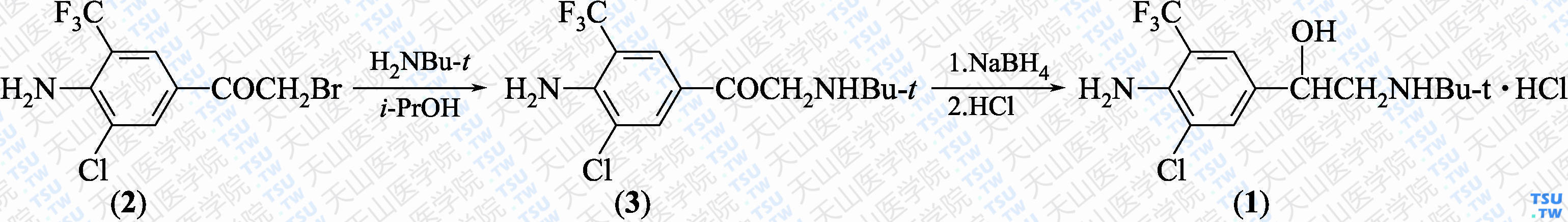 盐酸马布特罗（分子式：C<sub>13</sub>H<sub>18</sub>ClF<sub>3</sub>N<sub>2</sub>O·HCl）的合成方法路线及其结构式