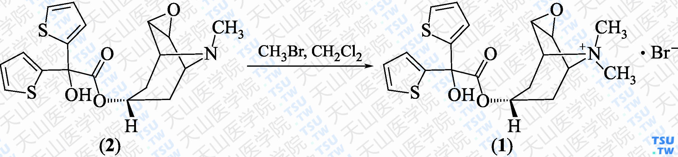 噻托溴铵（分子式：C<sub>19</sub>H<sub>22</sub>N<sup>+</sup>O<sub>4</sub>S<sub>2</sub>·Br<sup>-</sup>）的合成方法路线及其结构式