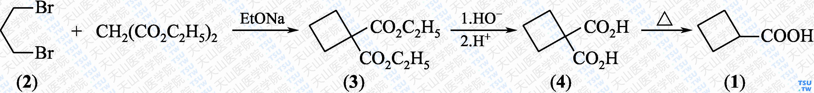 环丁烷羧酸（分子式：C<sub>5</sub>H<sub>8</sub>O<sub>2</sub>）的合成方法路线及其结构式