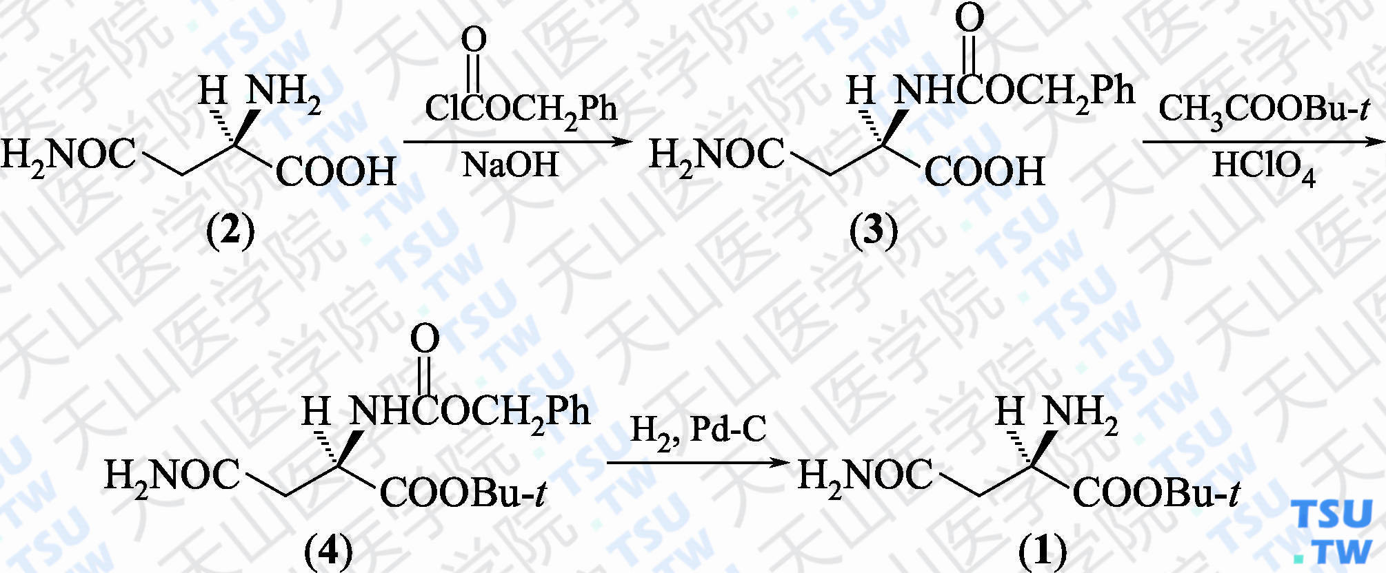 L-天门冬酰胺叔丁酯（分子式：C<sub>8</sub>H<sub>16</sub>N<sub>2</sub>O<sub>3</sub>）的合成方法路线及其结构式