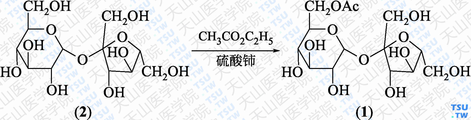 蔗糖-6-乙酸酯（分子式：C<sub>14</sub>H<sub>24</sub>O<sub>12</sub>）的合成方法路线及其结构式