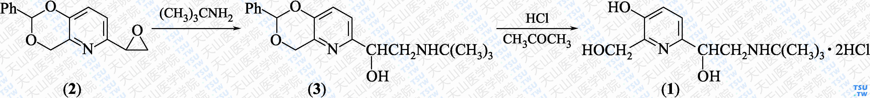 盐酸吡布特罗（分子式：C<sub>12</sub>H<sub>20</sub>N<sub>2</sub>O<sub>3</sub>·2HCl）的合成方法路线及其结构式