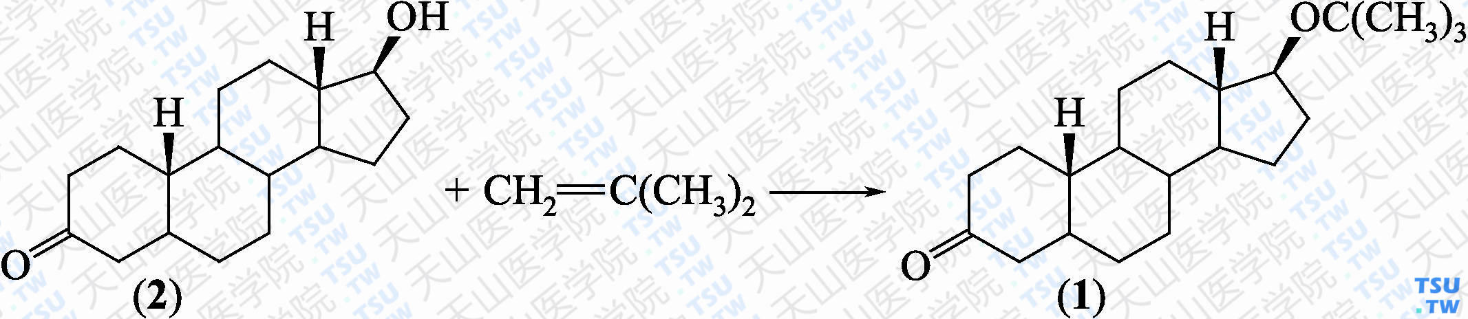 17-<i>β</i>-叔丁氧基雄甾酮（分子式：C<sub>21</sub>H<sub>34</sub>O）的合成方法路线及其结构式