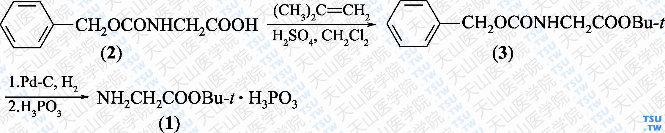 甘氨酸叔丁酯亚磷酸盐（分子式：C<sub>6</sub>H<sub>13</sub>NO<sub>2</sub>·H<sub>3</sub>PO<sub>3</sub>）的合成方法路线及其结构式