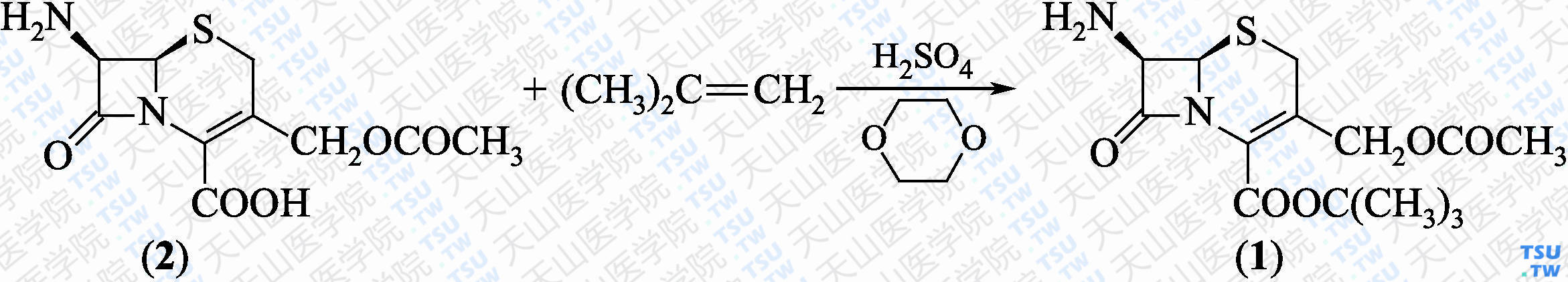 7-氨基头孢烯酸叔丁酯（分子式：C<sub>14</sub>H<sub>20</sub>N<sub>2</sub>O<sub>5</sub>S）的合成方法路线及其结构式