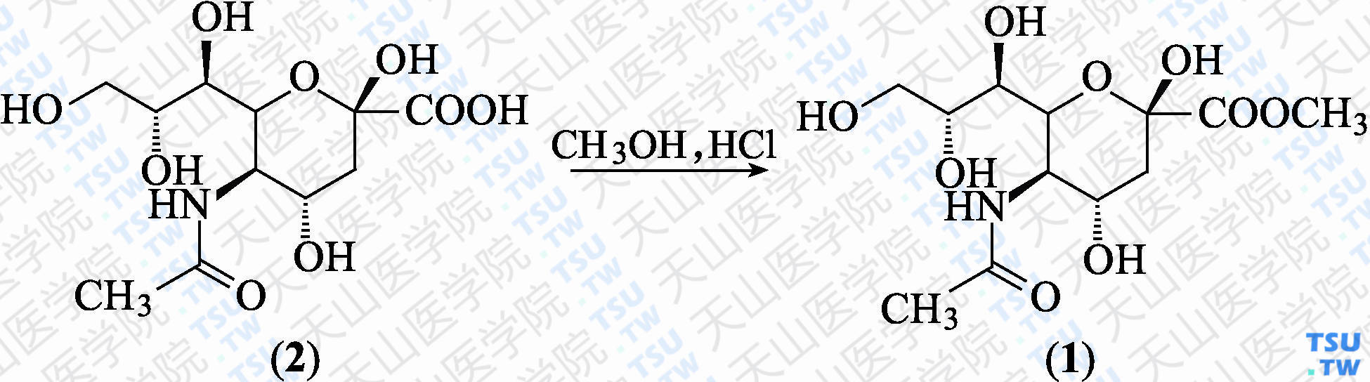 <i>N</i>-乙酰基-D-神经氨酸甲酯（分子式：C<sub>13</sub>H<sub>24</sub>NO<sub>9</sub>）的合成方法路线及其结构式