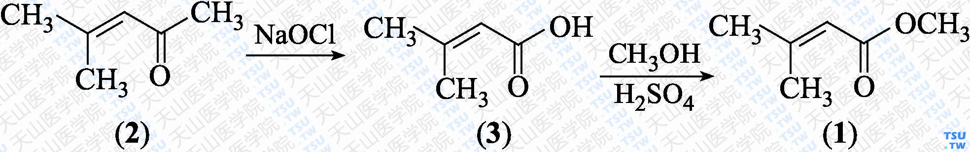 3-甲基丁-2-烯酸甲酯（分子式：C<sub>6</sub>H<sub>10</sub>O<sub>2</sub>）的合成方法路线及其结构式