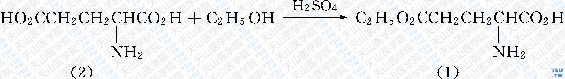 L-谷氨酸-<i>γ</i>-乙酯（分子式：C<sub>7</sub>H<sub>13</sub>NO<sub>4</sub>）的合成方法路线及其结构式