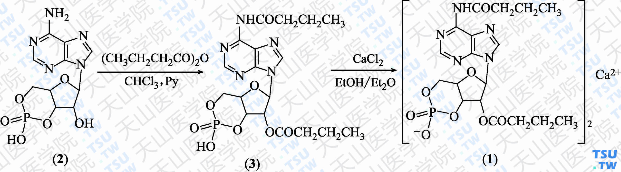 二丁酰环磷腺苷钙（分子式：（C<sub>18</sub>H<sub>23</sub>N<sub>5</sub>O<sub>8</sub>P）<sub>2</sub>Ca·2H<sub>2</sub>O）的合成方法路线及其结构式