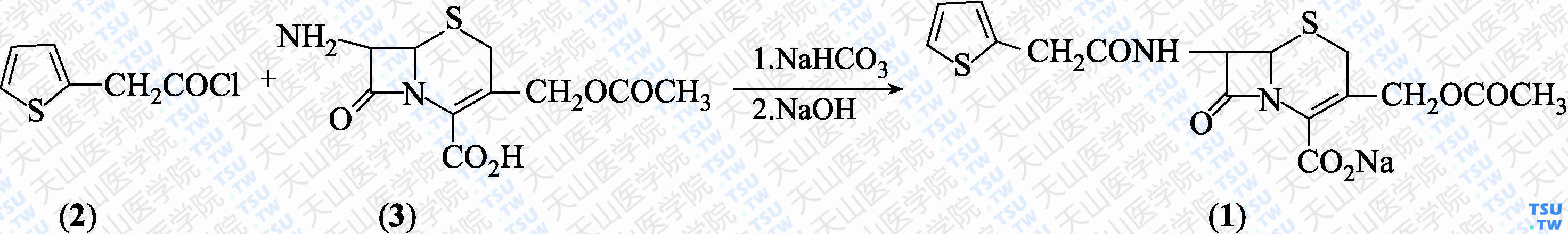 头孢噻吩钠（分子式：C<sub>16</sub>H<sub>15</sub>N<sub>2</sub>NaO<sub>6</sub>S<sub>2</sub>）的合成方法路线及其结构式