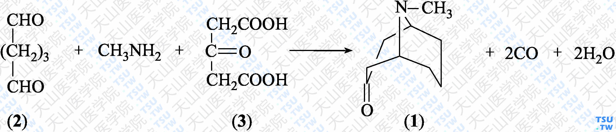 假石榴碱（分子式：C<sub>9</sub>H<sub>15</sub>NO）的合成方法路线及其结构式