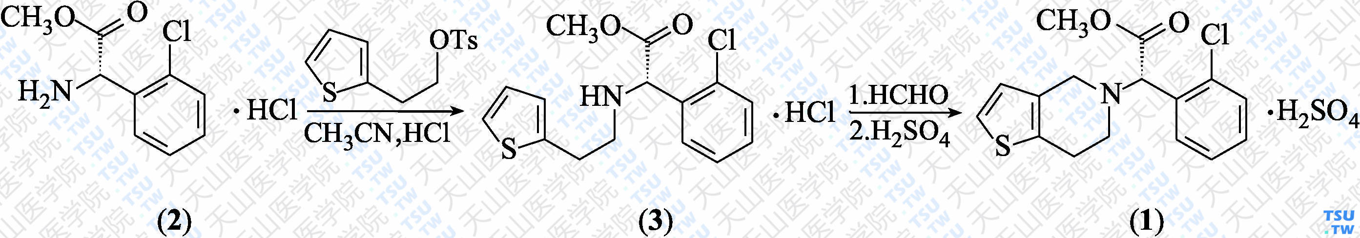 硫酸氯吡格雷（分子式：C<sub>16</sub>H<sub>16</sub>ClNO<sub>2</sub>S·H<sub>2</sub>SO<sub>4</sub>）的合成方法路线及其结构式