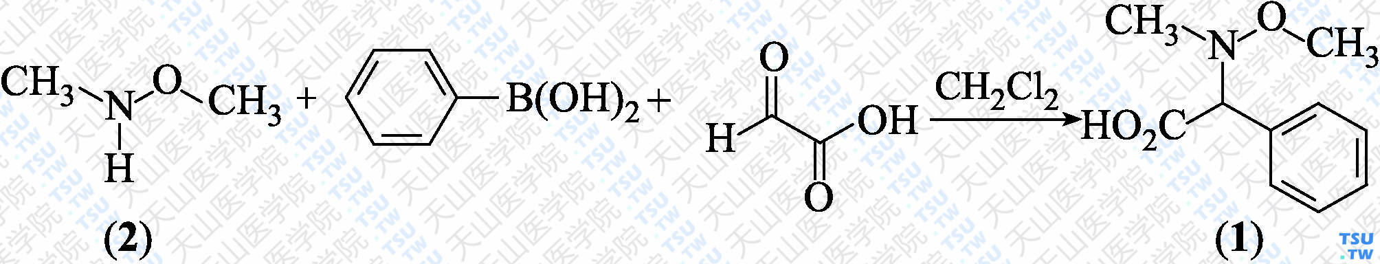 <i>N</i>-甲氧基-<i>N</i>-甲基氨基苯乙酸（分子式：C<sub>10</sub>H<sub>13</sub>NO<sub>3</sub>）的合成方法路线及其结构式