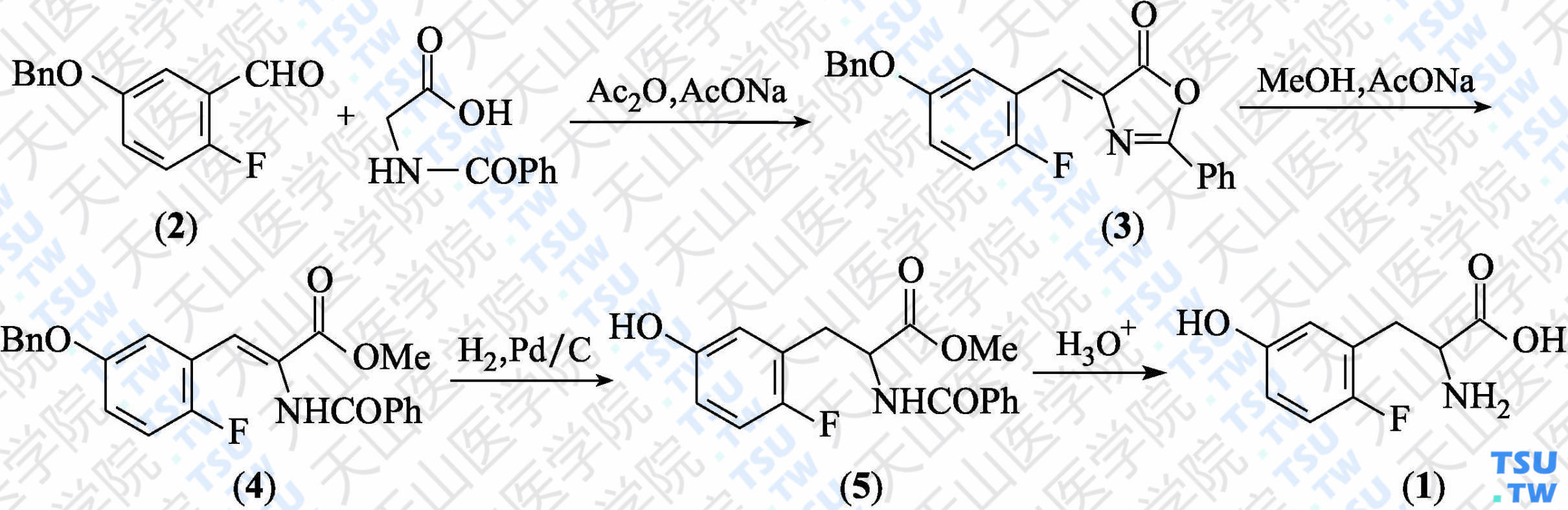 3-（2-氟-5-羟基苯基）丙氨酸（分子式：C<sub>9</sub>H<sub>10</sub>FNO<sub>3</sub>）的合成方法路线及其结构式