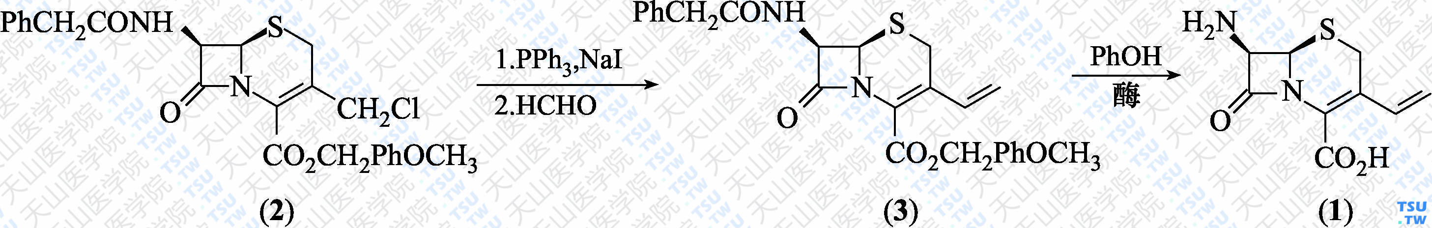 7-氨基-3-乙烯基-3-头孢烯-4-羧酸（分子式：C<sub>9</sub>H<sub>10</sub>N<sub>2</sub>O<sub>3</sub>S）的合成方法路线及其结构式