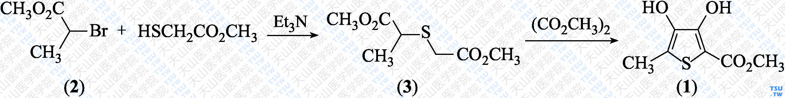 3，4-二羟基-5-甲基噻吩-2-羧酸甲酯（分子式：C<sub>7</sub>H<sub>8</sub>O<sub>4</sub>S）的合成方法路线及其结构式