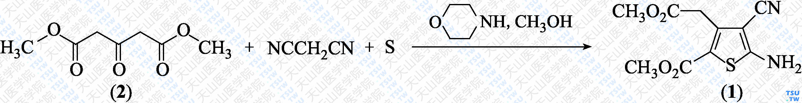 5-氨基-4-氰基-3-乙氧羰甲基-2-噻吩甲酸甲酯（分子式：C<sub>10</sub>H<sub>10</sub>N<sub>2</sub>O<sub>4</sub>S）的合成方法路线及其结构式