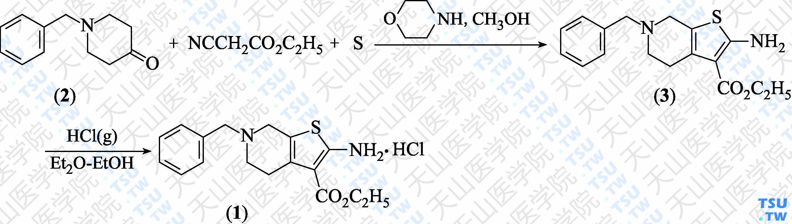 盐酸替诺立定（分子式：C<sub>17</sub>H<sub>20</sub>N<sub>2</sub>O<sub>2</sub>S·HCl）的合成方法路线及其结构式