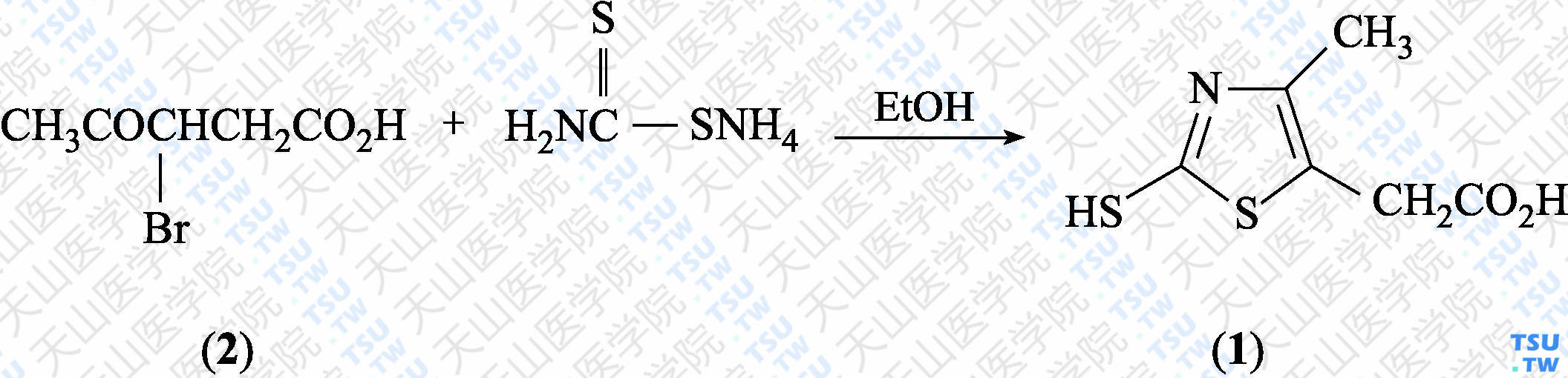 2-巯基-4-甲基-1，3-噻唑-5-乙酸（分子式：C<sub>6</sub>H<sub>7</sub>NO<sub>2</sub>S<sub>2</sub>）的合成方法路线及其结构式