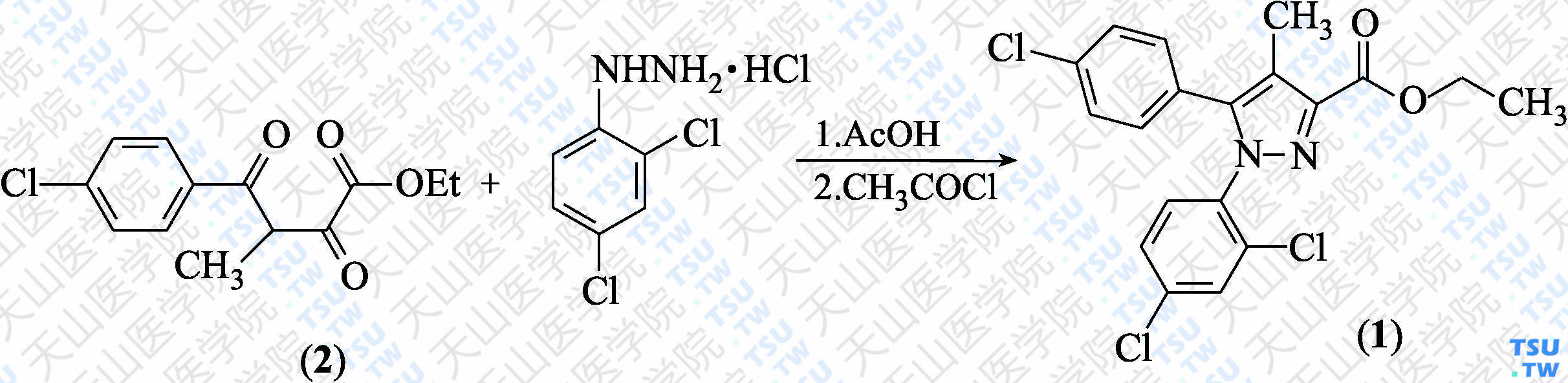 5-（4-氯苯基）-1-（2，4-二氯苯基）-4-甲基-1<i>H</i>-吡唑-3-羧酸乙酯（分子式：C<sub>19</sub>H<sub>15</sub>Cl<sub>3</sub>N<sub>2</sub>O<sub>2</sub>）的合成方法路线及其结构式