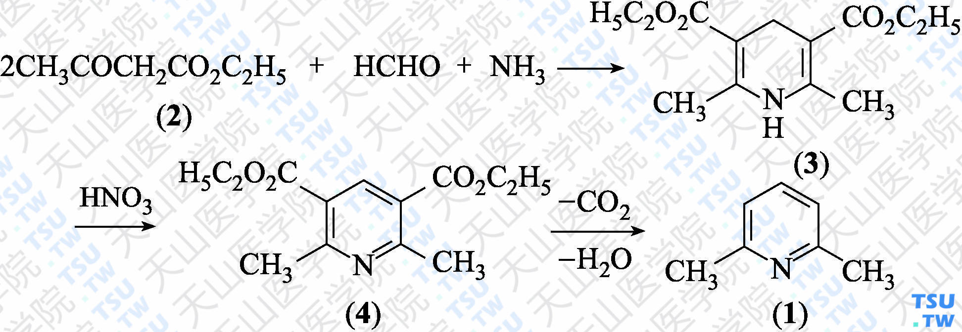 2，6-二甲基吡啶（分子式：C<sub>7</sub>H<sub>9</sub>N）的合成方法路线及其结构式