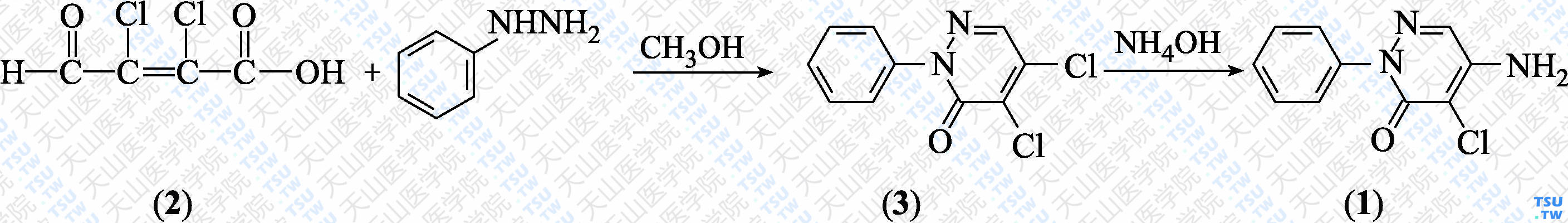 4-氨基-5-氯-2-苯基-3（2<i>H</i>）-哒嗪酮（分子式：C<sub>10</sub>H<sub>8</sub>ClN<sub>3</sub>O）的合成方法路线及其结构式