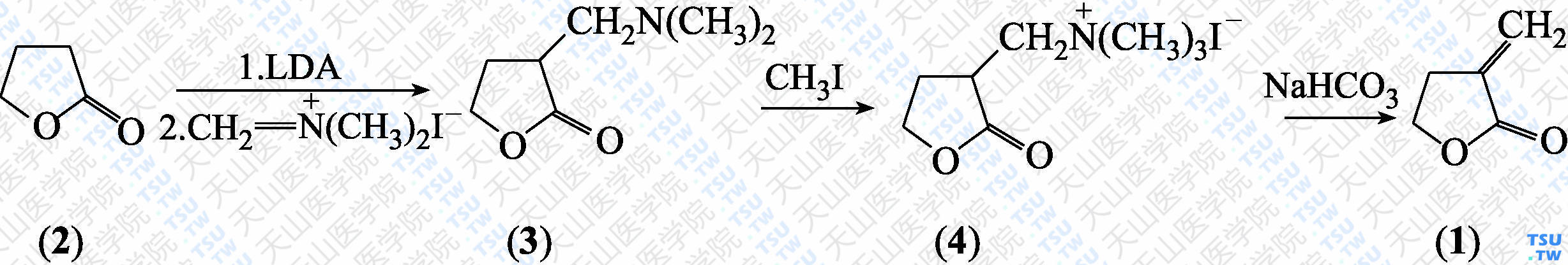 <i>α</i>-亚甲基-<i>γ</i>-丁内酯（分子式：C<sub>5</sub>H<sub>6</sub>O<sub>2</sub>）的合成方法路线及其结构式