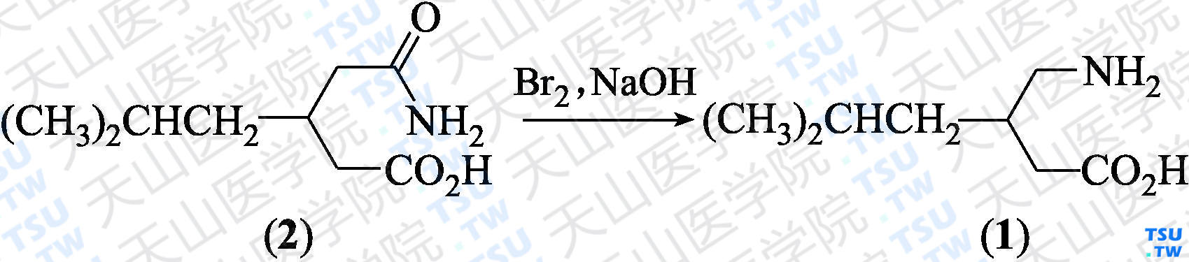 3-氨甲基-5-甲基己酸（分子式：C<sub>8</sub>H<sub>17</sub>NO<sub>2</sub>）的合成方法路线及其结构式