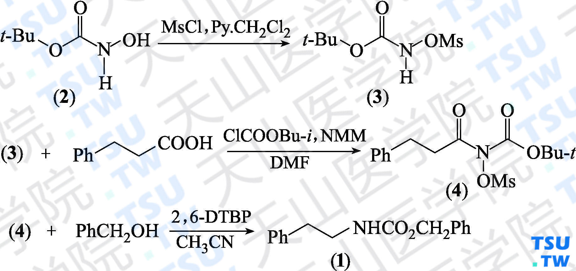 <i>N</i>-苄氧羰基苯乙胺（分子式：C<sub>16</sub>H<sub>17</sub>NO<sub>2</sub>）的合成方法路线及其结构式