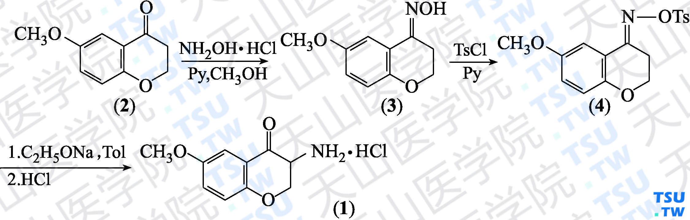 3-氨基-6-甲氧基-3，4-二氢-2<i>H</i>-苯并吡喃-4-酮盐酸盐（分子式：C<sub>10</sub>H<sub>11</sub>NO<sub>3</sub>·HCl）的合成方法路线及其结构式