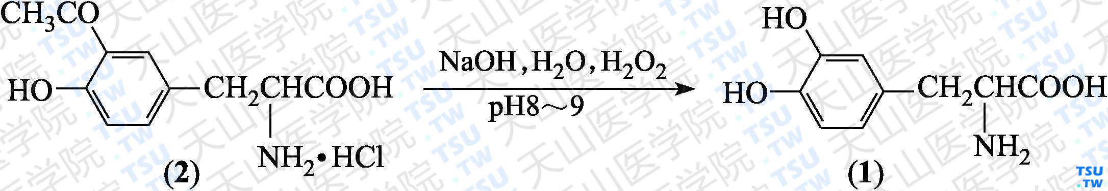 2-氨基-3-（3，4-二羟基苯基）丙酸（分子式：C<sub>9</sub>H<sub>11</sub>NO<sub>4</sub>）的合成方法路线及其结构式