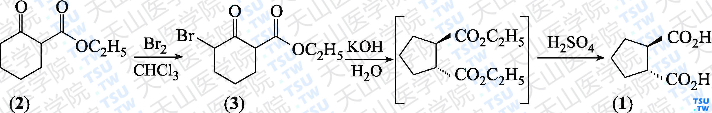 反-环戊-1，2-二甲酸（分子式：C<sub>7</sub>H<sub>10</sub>O<sub>4</sub>）的合成方法路线及其结构式