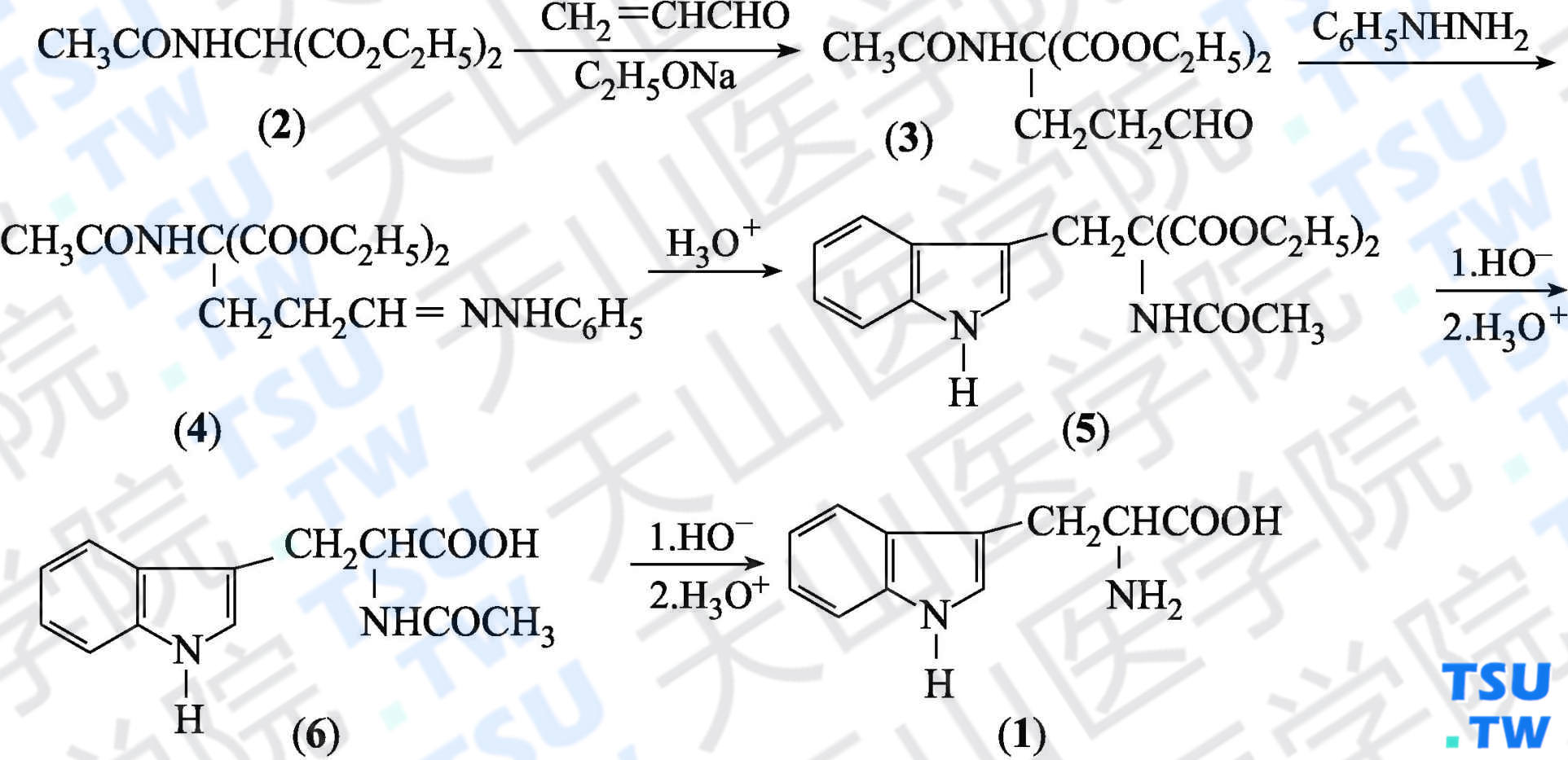 D，L-色氨酸（分子式：C<sub>11</sub>H<sub>12</sub>N<sub>2</sub>O<sub>2</sub>）的合成方法路线及其结构式