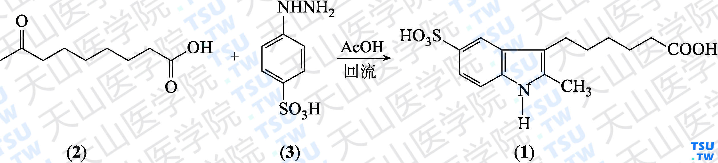 6-（2-甲基-5-磺酸基-1<i>H</i>-吲哚-3-基）己酸（分子式：C<sub>15</sub>H<sub>19</sub>NO<sub>5</sub>S）的合成方法路线及其结构式