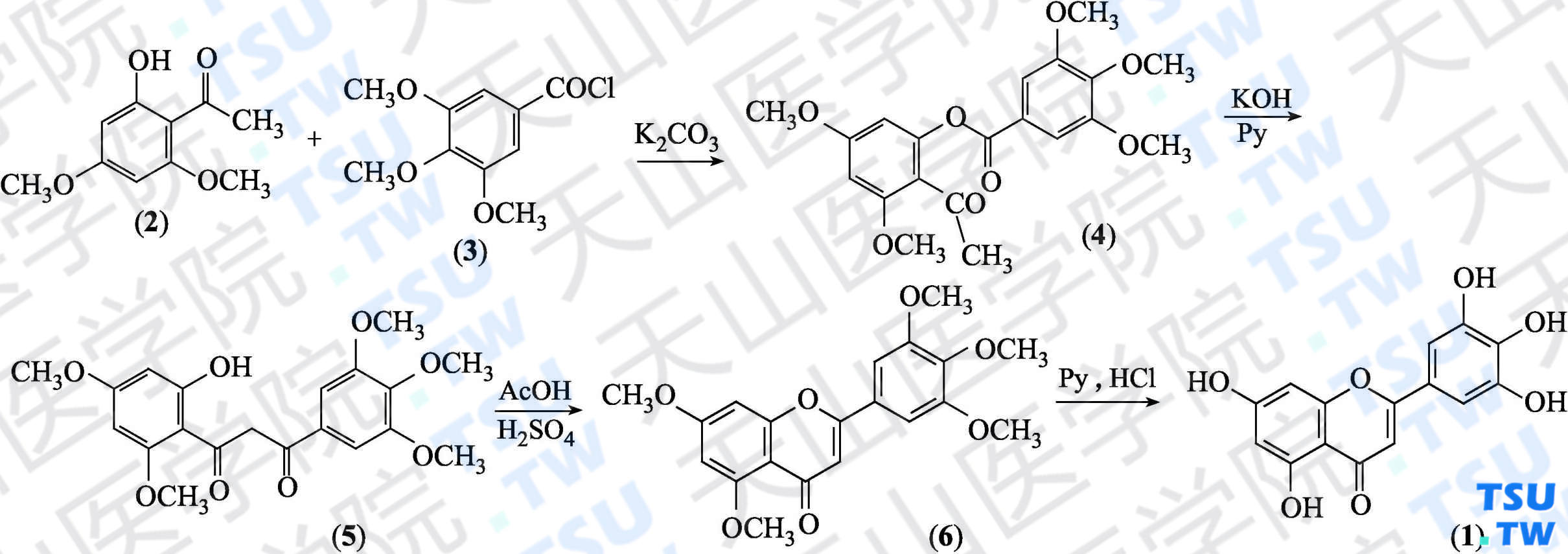 3'，4'，5'，5，7'-五羟基黄酮（分子式：C<sub>15</sub>H<sub>10</sub>O<sub>7</sub>）的合成方法路线及其结构式