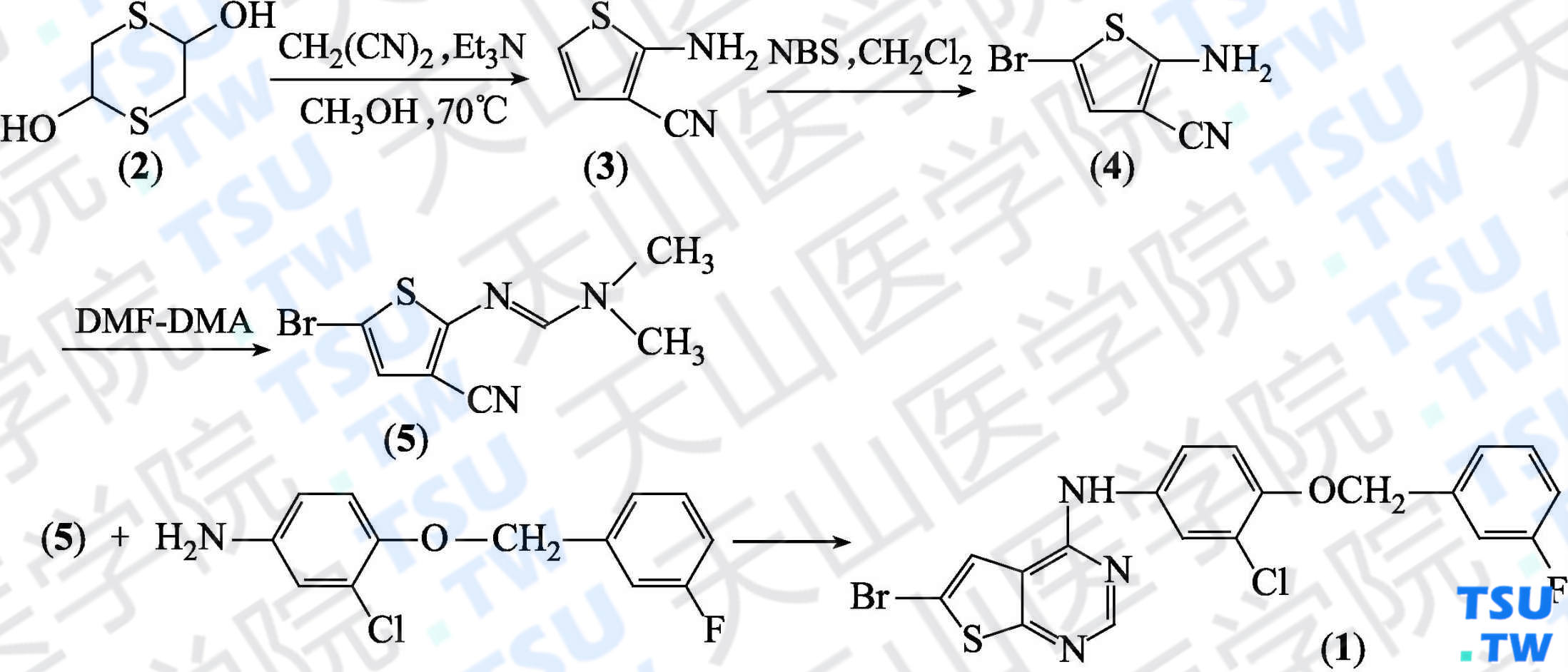 6-溴-<i>N</i>-[3-氯-4-（3-氟苄氧基）苯基]噻吩并[2，3-<i>d</i>]嘧啶-4-胺（分子式：C<sub>19</sub>H<sub>13</sub>BrClFN<sub>3</sub>OS）的合成方法路线及其结构式