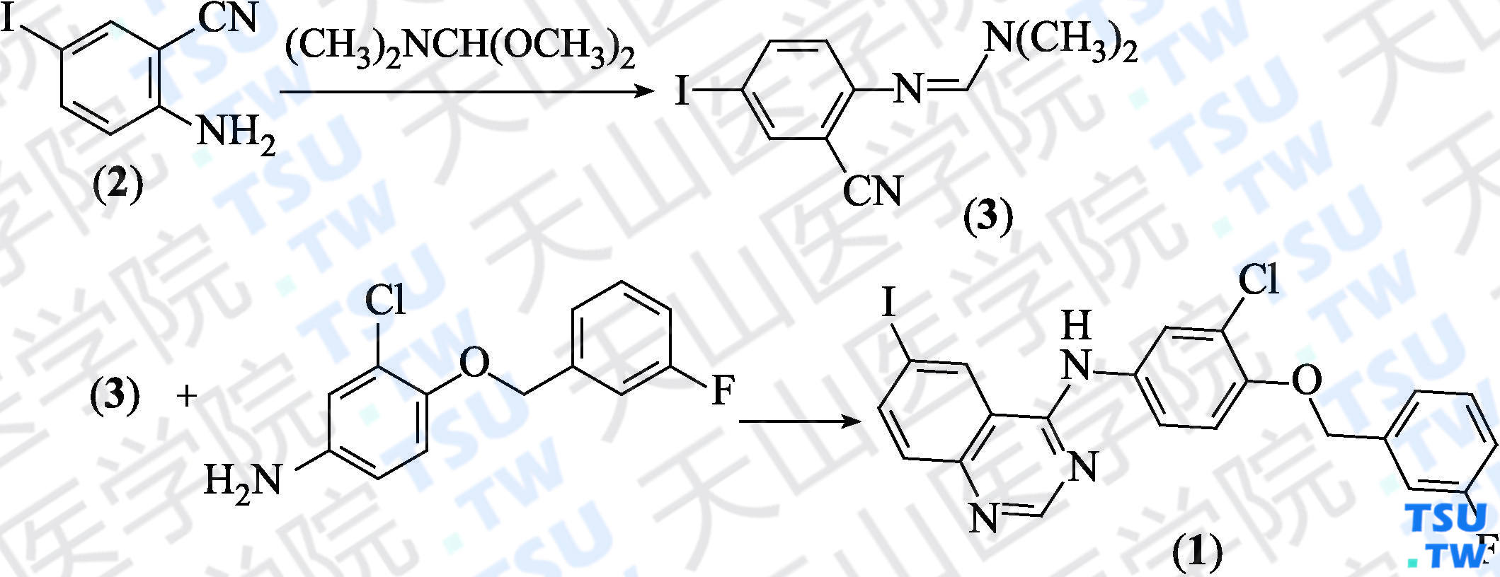 <i>N</i>-[3-氯-4-[（3-氟苯基）甲氧基]苯基]-6-碘喹唑啉-4-胺（分子式：C<sub>21</sub>H<sub>14</sub>ClFIN<sub>3</sub>O）的合成方法路线及其结构式