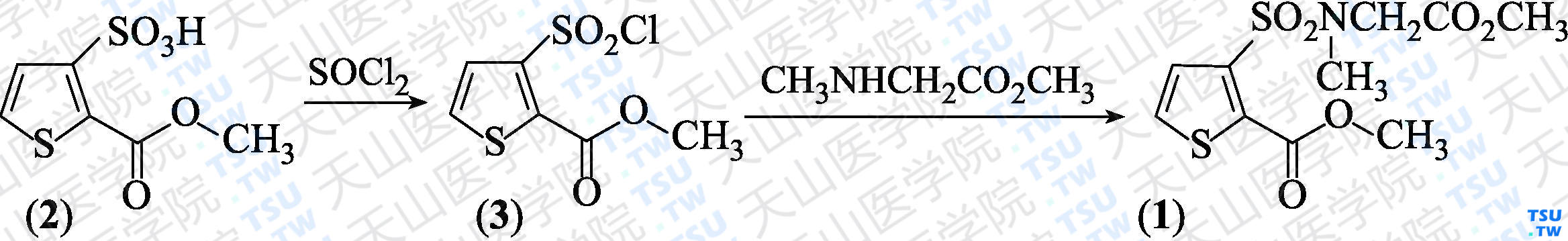 3-[<i>N</i>-甲基-<i>N</i>-（2-乙酸甲酯基）胺磺酰基]噻吩-2-羧酸甲酯（分子式：C<sub>10</sub>H<sub>13</sub>NO<sub>6</sub>S<sub>2</sub>）的合成方法路线及其结构式