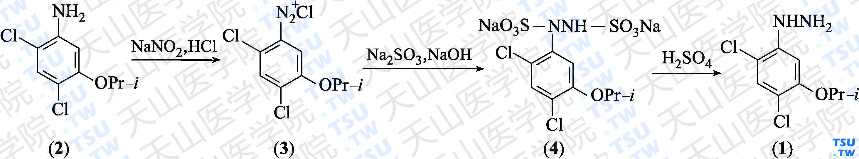 2，4-二氯-5-异丙氧基苯肼（分子式：C<sub>9</sub>H<sub>12</sub>Cl<sub>2</sub>N<sub>2</sub>O）的合成方法路线及其结构式