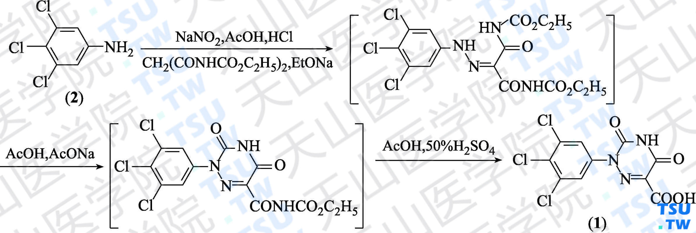 2-（3，4，5-三氯苯基）-1，2，4-三嗪-3，5-（2<i>H</i>，4<i>H</i>）-二酮-6-羧酸（分子式：C<sub>10</sub>H<sub>4</sub>Cl<sub>3</sub>N<sub>3</sub>O<sub>4</sub>）的合成方法路线及其结构式