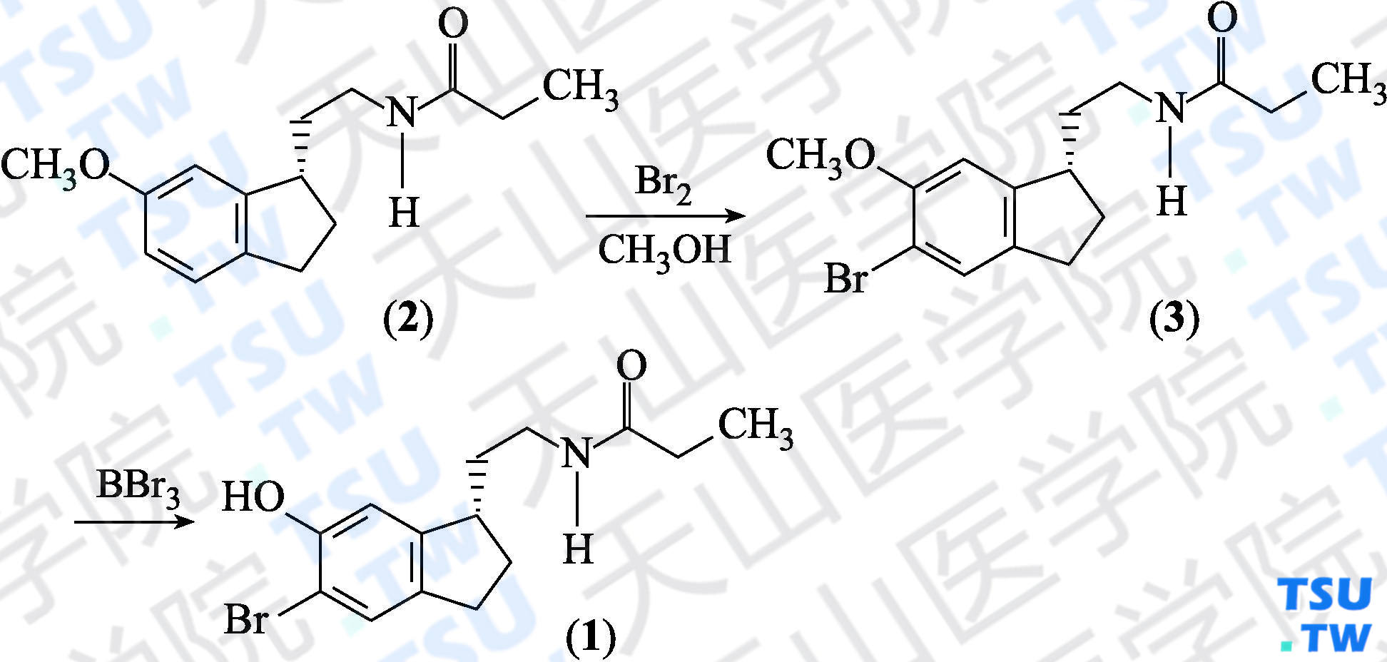 （<i>S</i>）-<i>N</i>-[2-（5-溴-2，3-二氢-6-羟基-1<i>H</i>-茚满-1-基）乙基]丙酰胺（分子式：C<sub>14</sub>H<sub>18</sub>BrNO<sub>2</sub>）的合成方法路线及其结构式